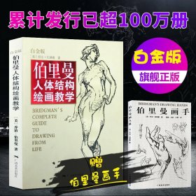 伯里曼人体结构绘画教学（白金版）