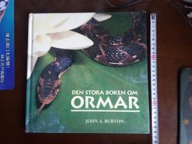 DEN STORA BOKEN OM 《ORMAR》【瑞典语原版】蛇的图谱 —— 少儿图书