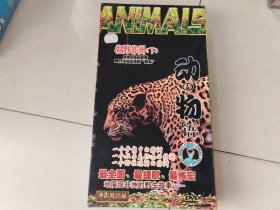 动物语，狂野非洲【下】6碟装DVD