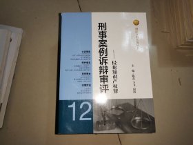 刑法分则实务丛书·刑事案例诉辩审评：侵犯知识产权罪