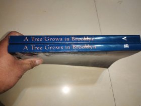 A Tree Grows in Brooklyn【A+B册和售】