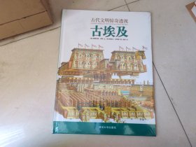 古代文明惊奇透视：古埃及【全新未开封】