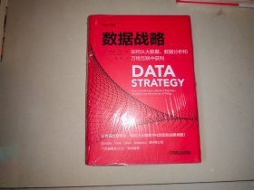 数据战略：如何从大数据、数据分析和万物互联中获利