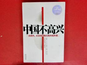 中国不高兴：大时代大目标及我们的内忧外患