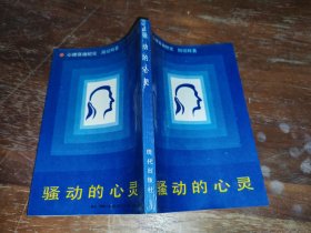 骚动的心灵:心理咨询纪实