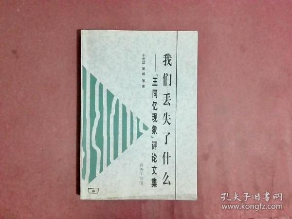 我们丢失了什么：“王同亿现象”评论文集