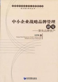 现货速发 中小企业战略品牌管理研究:enterprises focusing on brand equity 9787509620489  张梦霞 经济管理出版社  中小企业品牌战略研究北京