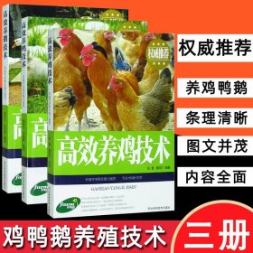 3册高效鸡鸭鹅养殖技术饲料配方大全技术及用药鸡病快速鉴别诊断图谱防治实用手册畜牧家禽养殖动物医学专业书籍科学生态饲养管理