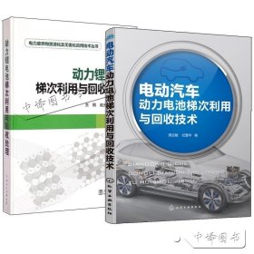 2册 动力锂电池梯次利用与回收处理+电动汽车动力电池梯次利用与回收技术 电动汽车动力电池技术书籍 动力电池资源化及无害化处理