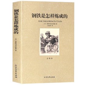 正版 世界文学名著—钢铁是怎样炼成的 全译本无删减原版原著全文翻译 儿童文学名著青少年中小学生课