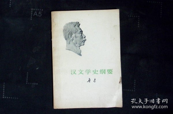 汉文学史纲要