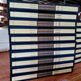 【精装 函套】 当代青年篆刻家精选集——刘彦湖(上 下)