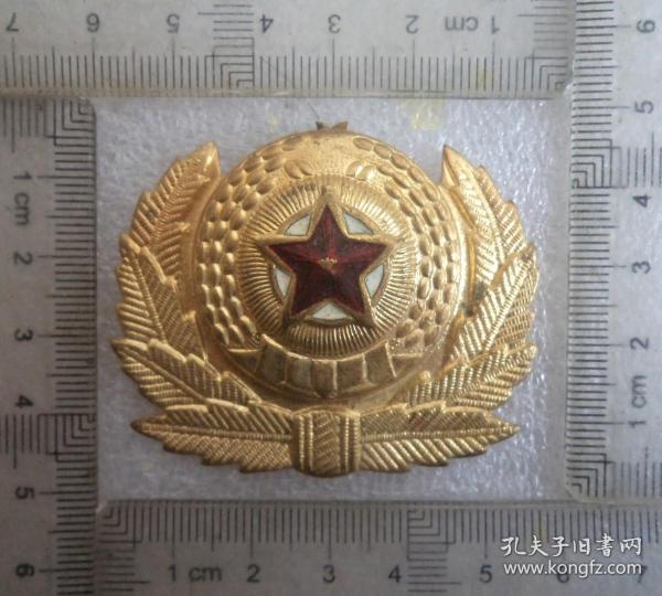 外国帽徽29