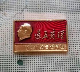 时期哈尔滨市毛泽东思想红卫兵造反总部证章
