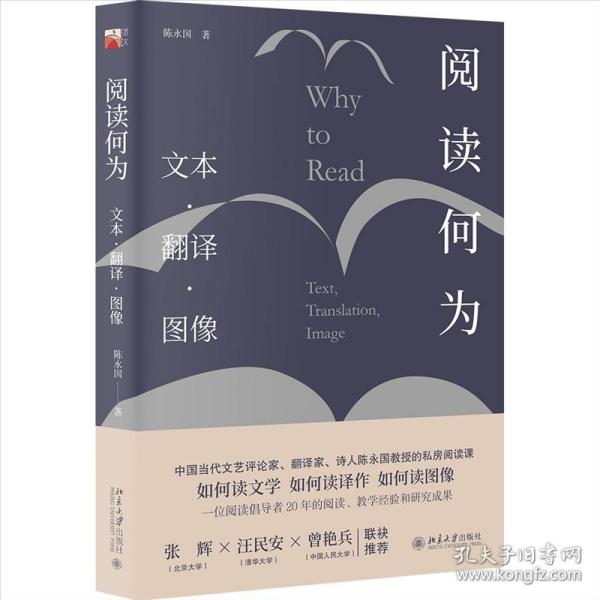 阅读何为：文本 翻译 图像（如何阅读文学、如何阅读译作、如何读图像）