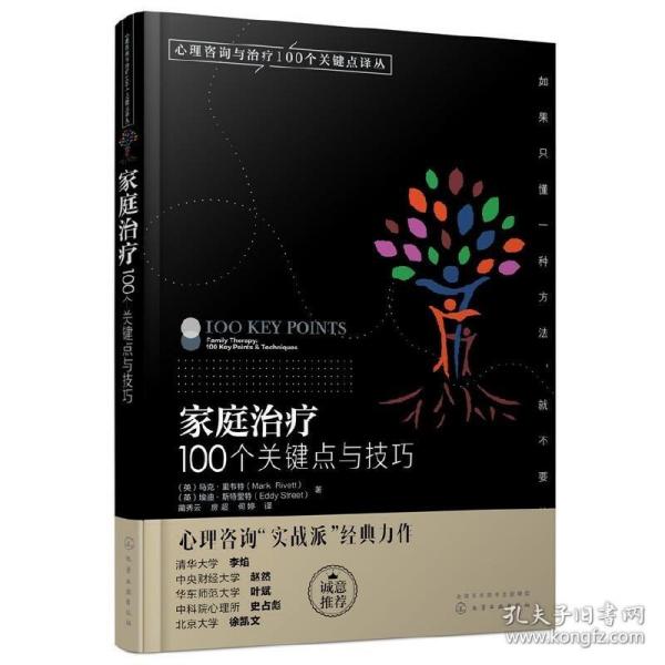 家庭治疗：100个关键点与技巧/心理咨询与治疗100个关键点译丛