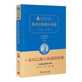 经典名著 大家名译：契诃夫短篇小说选（价值典藏版）