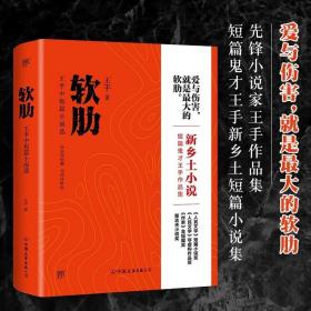 软肋（“短篇小说圣手”王手作品集）