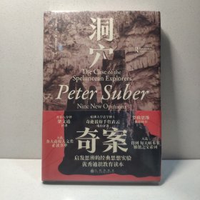 洞穴奇案 法哲学专业领域寓言式的经典文献，优秀跨学科通识教育的理想读本