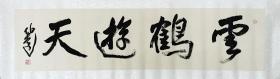 张海洋，1987年生，字伯远，毕业于中国美术学院书法与篆刻专业，现为中国书法家协会会员，中国美术研究协会浙江分会副秘书长，杭州文广集团特聘艺术家，泉唐一社理事长，黄宾虹学术研究会会员，杭州师范大学外聘书法教师等。