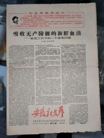 老报纸：《安徽新文艺》 第16期 1968年10月16日（共4版）