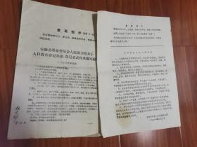**资料《安徽省安庆市革命委员会关于人口普查的资料》两份，1971