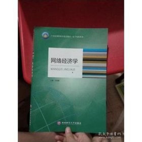 网络经济学王艳霞西南财经大学出版社9787550400030