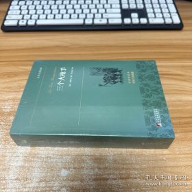 三个火枪手 世界名著典藏 名家全译本 外国文学畅销书