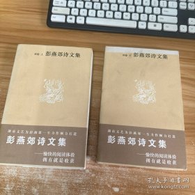 彭燕郊诗文集：诗卷 上下