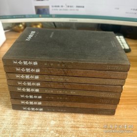 王小波全集（第一卷 杂文）：思维的乐趣