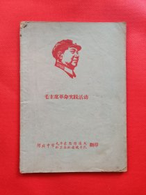 毛主席革命实践活动（A3）