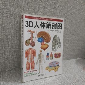 3D人体解剖图