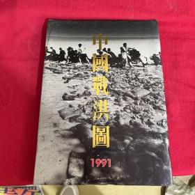 正版 中国战洪图1991（8开 抗洪摄影画册 /中国国际减灾十年委员会