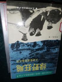 绿野狂飙，从诺曼底到易北河