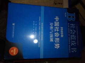 社会蓝皮书：2020年中国社会形势分析与预测