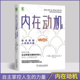 内在动机：自主掌控人生的力量