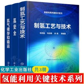 氢能利用关键技术系列--氢安全