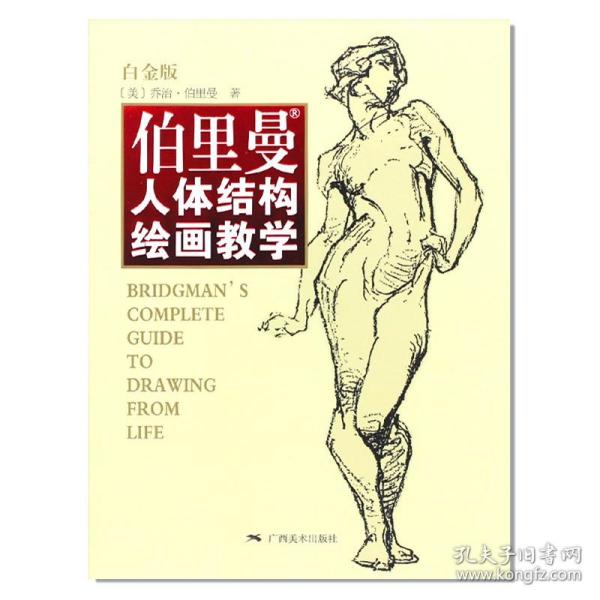 伯里曼人体结构绘画教学（白金版）