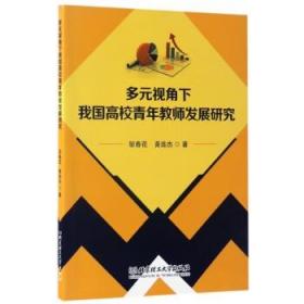 多元视角下我国高校青年教师发展研究