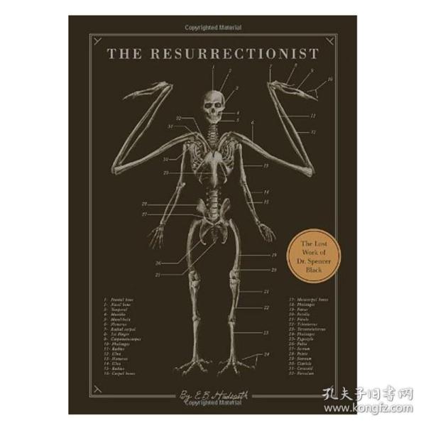 现货正版 The Resurrectionist 原版进口 盗尸者绝迹动物古抄本 生物解剖图册神话中野兽艺用解剖骨骼解剖绘图神话怪物书籍畅销书