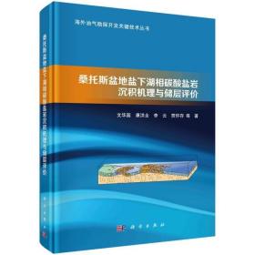 桑托斯盆地盐下湖相碳酸盐岩沉积机理与储层评价书文华国等  自然科学书籍