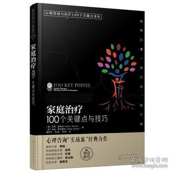 家庭治疗：100个关键点与技巧/心理咨询与治疗100个关键点译丛