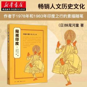 正版 窥视印度 日本妹尾河童作品 印度之行的素描随笔 印度游记文化宗教民族风情 印度游记诗歌散文 外国文学随笔人文历史书籍