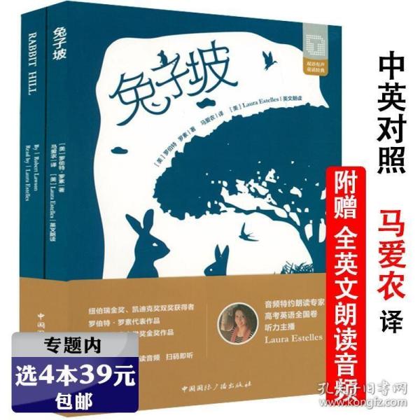 国际大奖小说（升级版）：兔子坡