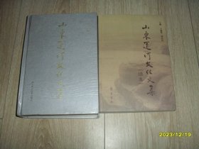 山东运河文化文集+山东运河文化文集续集 2本