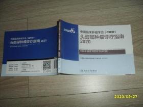 中国临床肿瘤学会（CSCO）头颈部肿瘤诊疗指南2020