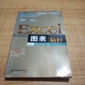 正版 Excel图表实战技巧精粹