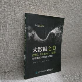 大数据之美：挖掘、Hadoop、架构，更精准地发现业务与营销