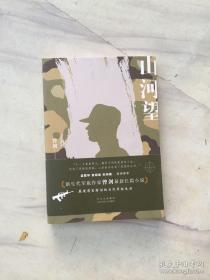 正版 山河望