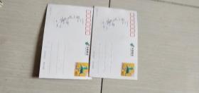 马踏飞燕2009邮资明信片(面值80分2张合售)